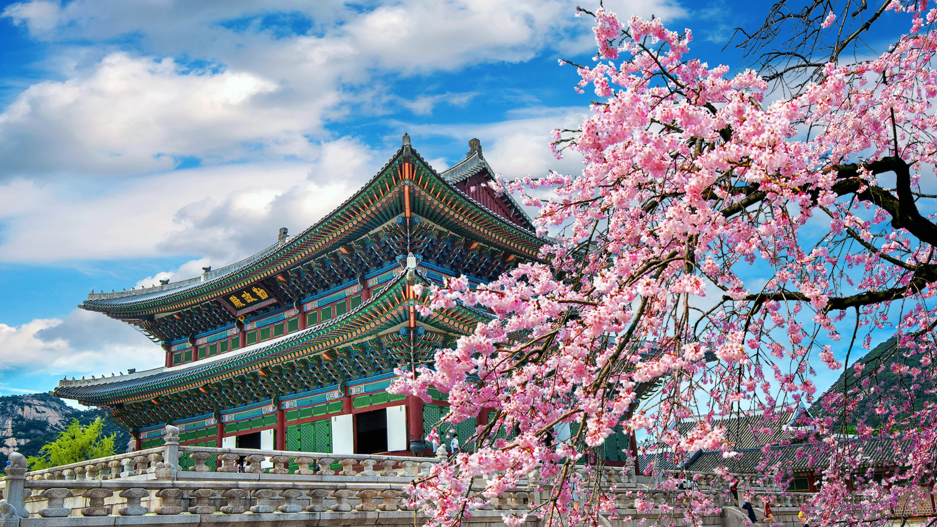 Kapan Waktu Terbaik untuk berwisata ke Korea Selatan?